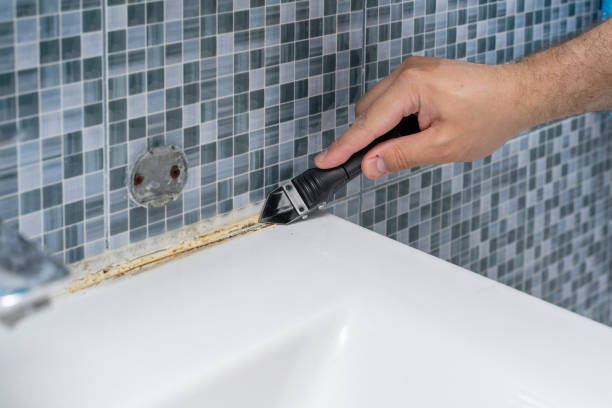 Sandpoint, ID Mold Removal Company